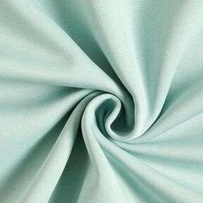 Brushed Sweatshirt Fabric – pastel green, 
