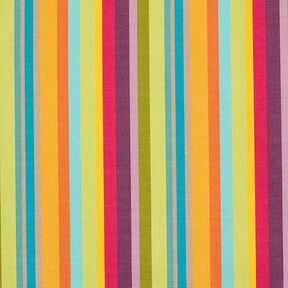 awning fabric Colourful Stripes, 