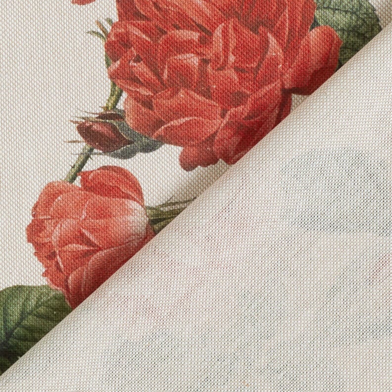 Decor Fabric Half Panama Rose garden – natural/carmine,  image number 4