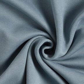Brushed Sweatshirt Fabric – dove blue, 