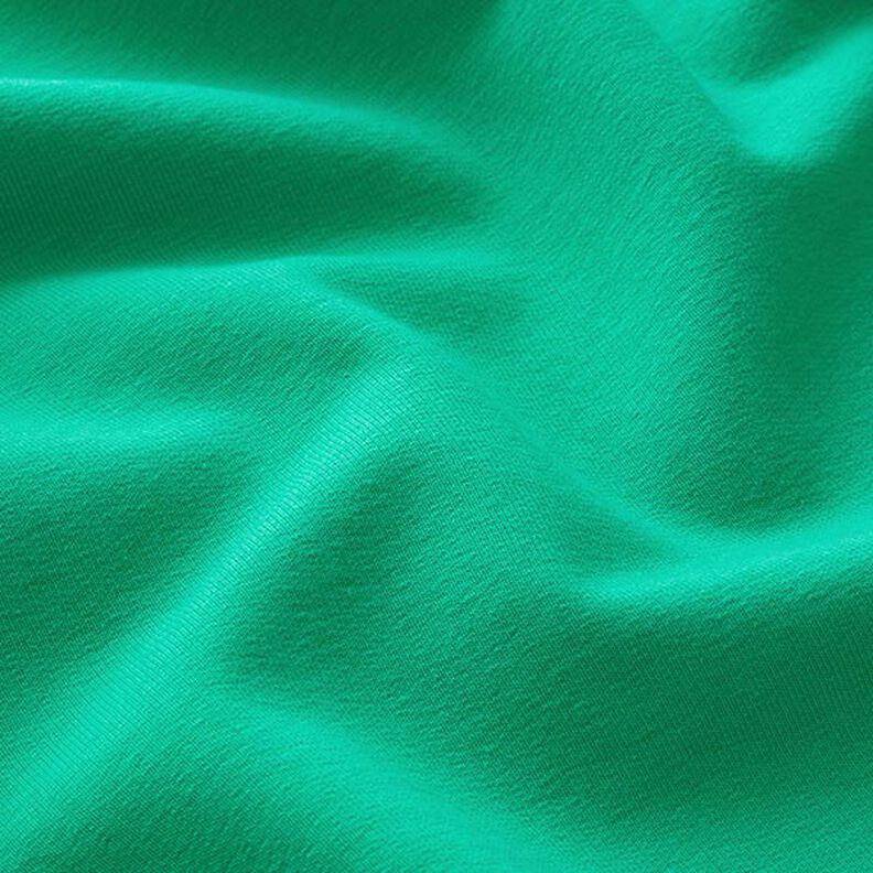 Light Cotton Sweatshirt Fabric Plain – green,  image number 4