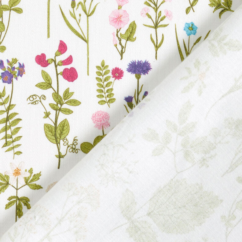 Decorative fabric Digital print Meadow herbs – white/green,  image number 4