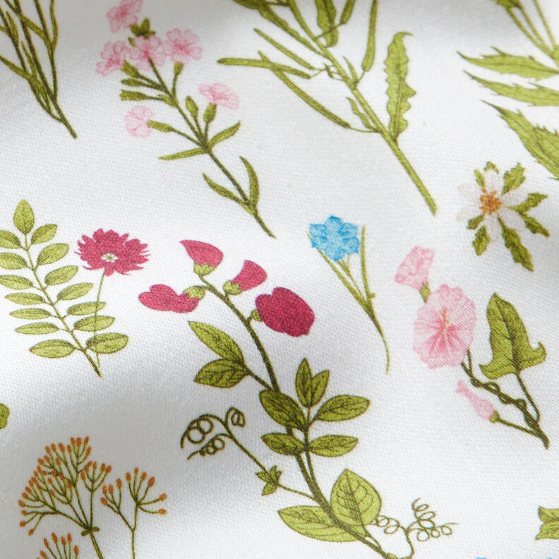 Decorative fabric Digital print Meadow herbs – white/green,  image number 5