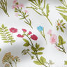 Decorative fabric Digital print Meadow herbs – white/green,  thumbnail number 5