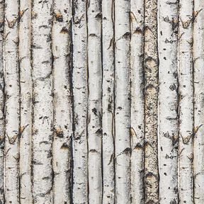 Decor Fabric Half Panama birch trunks – light grey, 