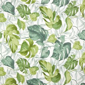 Decorative fabric Canvas Large monstera leaves – white/grass green, 