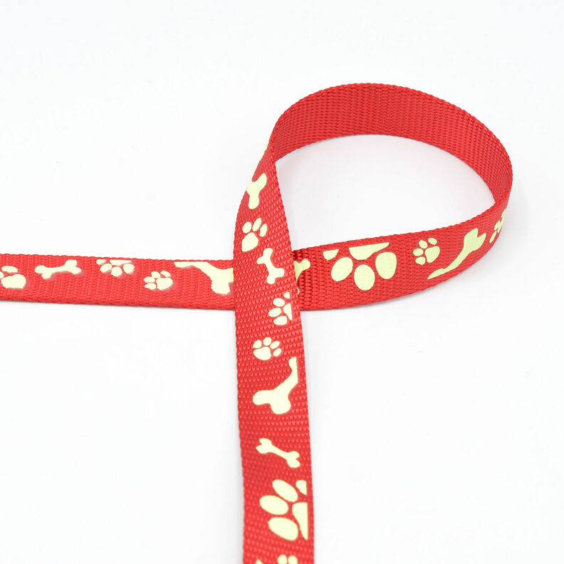 Reflective woven tape Dog leash [20 mm] – red,  image number 2