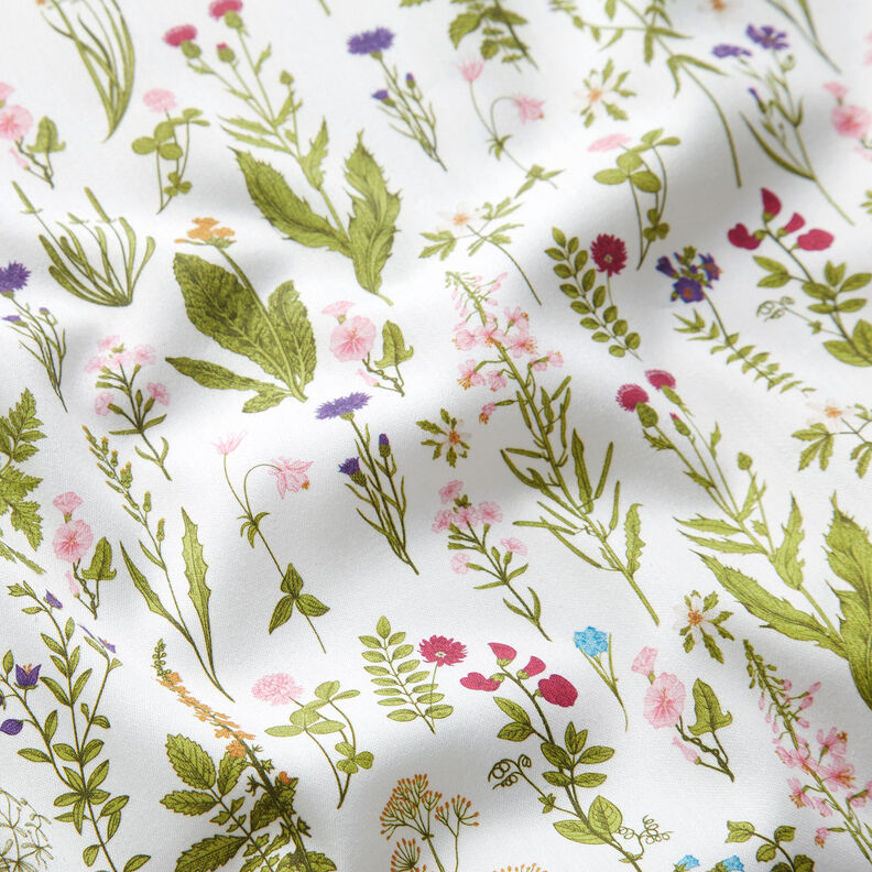 Decorative fabric Digital print Meadow herbs – white/green,  image number 2