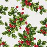 Canvas Decor Fabric Mistletoe Twigs – green/red,  thumbnail number 6