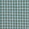 Cotton fabric overlaid gingham – fir green/light blue,  thumbnail number 1