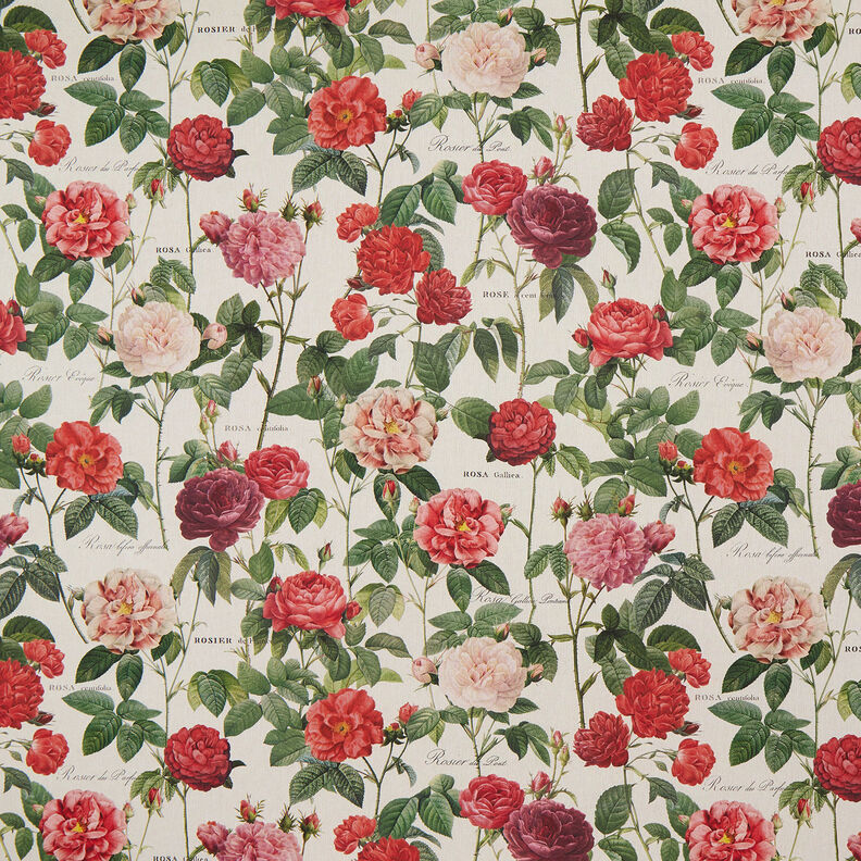 Decor Fabric Half Panama Rose garden – natural/carmine,  image number 1