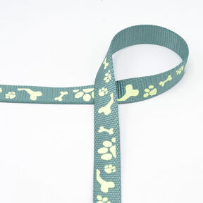 Reflective woven tape Dog leash [20 mm] – sage, 