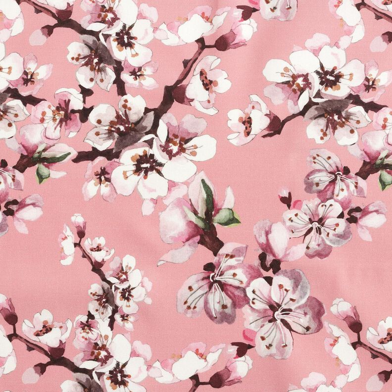 Outdoor Fabric Canvas cherry blossom – light pink,  image number 1