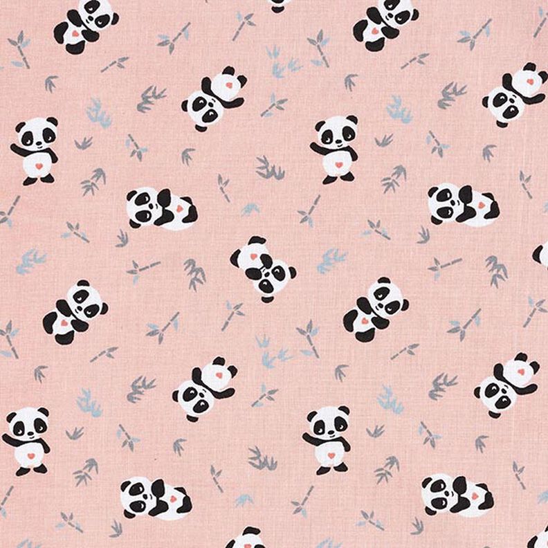 Cotton Cretonne Cuddly panda – pink,  image number 1