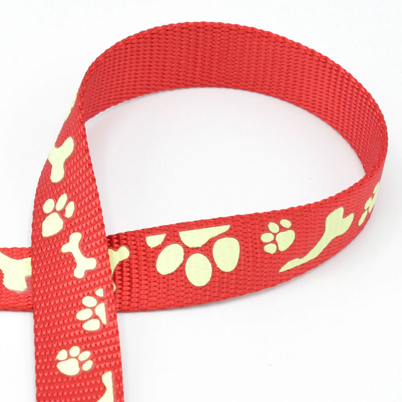 Reflective woven tape Dog leash [20 mm] – red,  image number 1