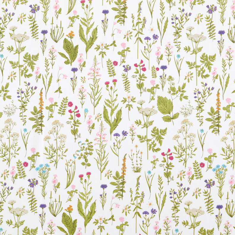 Decorative fabric Digital print Meadow herbs – white/green,  image number 1