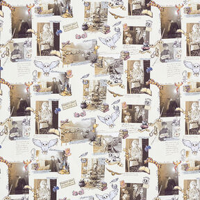 Cretonne Licensed Fabric ‘Harry Potter’ Memories | Warner Bros. – light beige, 